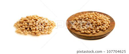 White Kidney Beans Isolated White Kidney Beans Isolated 107704625
