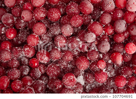 Frozen Lingonberry, Iced Cowberry, Snow Cranberry, Red Viburnum Berries, Frozen Lingonberry Frozen Lingonberry, Iced Cowberry, Snow Cranberry, Red Viburnum Berries, Frozen Lingonberry 107704691