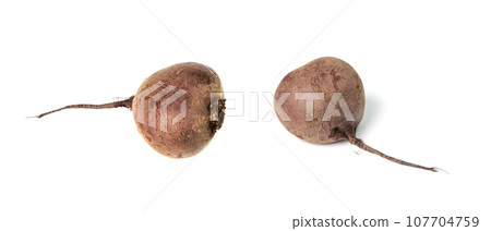 Whole Beet Roots isolated, Beetroot, Eco Bio Red Beets, Raw Beet Root 107704759