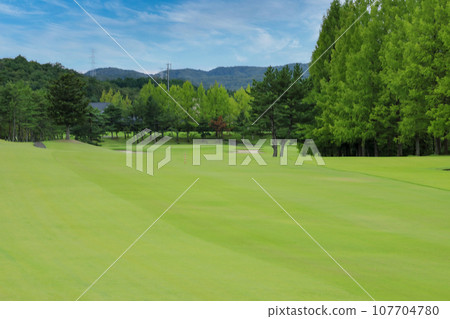 Golf Life Izumi Kokusai 9th hole 107704780