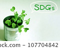 a plant that continues to grow 107704842