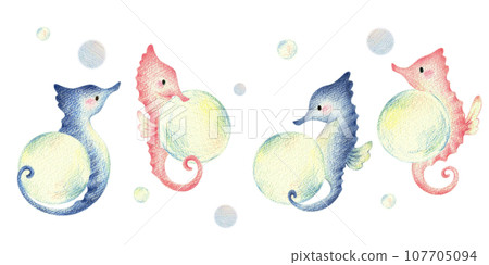 Seahorse with bubbles, hand-drawn colored pencil drawing 107705094