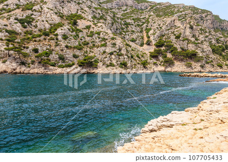 View of Calanque de Morgiou on the Mediterranean shore between Marseille and Cassis in the south of France 107705433