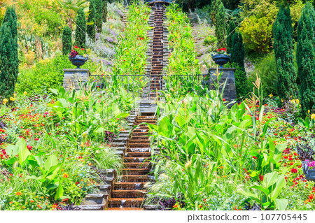 Italian flower water stairs on the island of flowers Mainau on Lake Constance, Germany 107705445