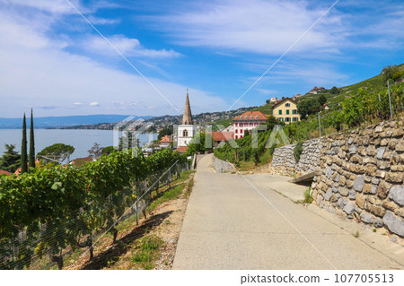 View of the famous Lavaux terraced vineyards, lake Geneva and the Alps in canton Vaud, Switzerland View of the famous Lavaux terraced vineyards, lake Geneva and the Alps in canton Vaud, Switzerland 107705513