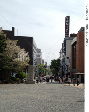 street, townscape, city 107706439