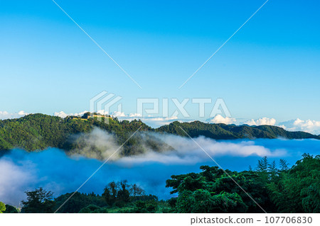 雲海、島根縣、津和野、津和野城跡 雲海、島根縣、津和野、津和野城跡 107706830