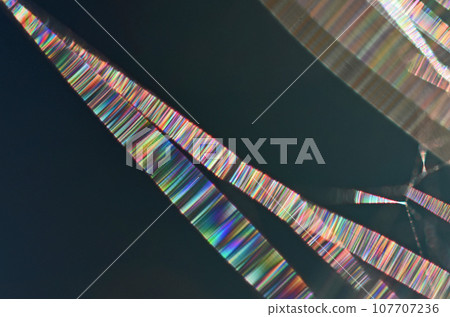 彩虹色蜘蛛絲的奇幻世界(彩色混合圖案蜘蛛帶) 彩虹色蜘蛛絲的奇幻世界(彩色混合圖案蜘蛛帶) 107707236