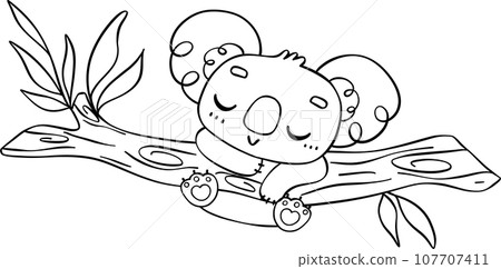 Koala on tree outline cartoon character doodle  107707411