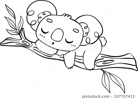 Koala on tree outline cartoon character doodle  107707413