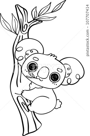 Koala on tree outline cartoon character doodle  107707414
