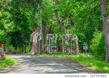 [聖地參拜]新海三社神社[佐久市] 107707860