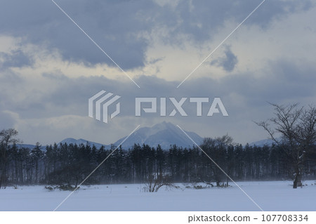 Hokkaido snow scene 107708334