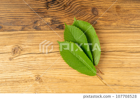 Cherry Leaf on Wooden Table, Green Fruit Leaves 107708528