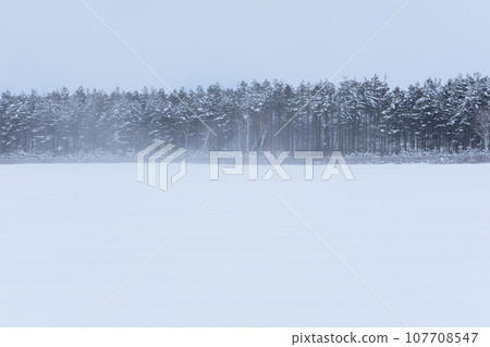 北海道雪景 北海道雪景 107708547