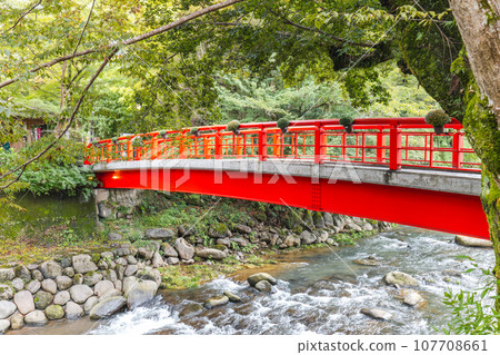 Red bridge shines in fresh green 107708661