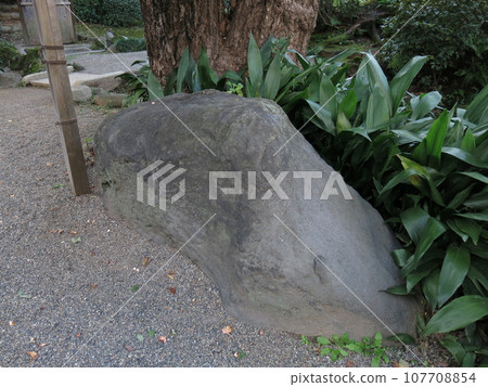 墨田區舊安田庭園內的駒留石 墨田區舊安田庭園內的駒留石 107708854