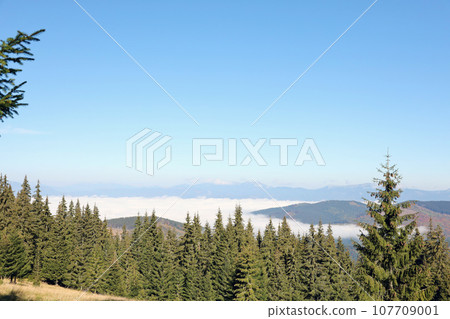 Mount Hoverla hanging peak of the Ukrainian Carpathians against the background of the sky Mount Hoverla hanging peak of the Ukrainian Carpathians against the background of the sky 107709001