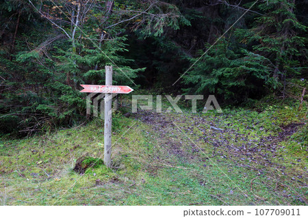 Arrow sign to Mount Hoverla direction hanging peak of Ukrainian Carpathians 107709011