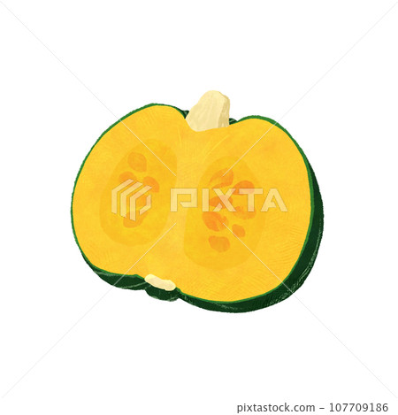 Illustration of a cross section of a pumpkin Illustration of a cross section of a pumpkin 107709186