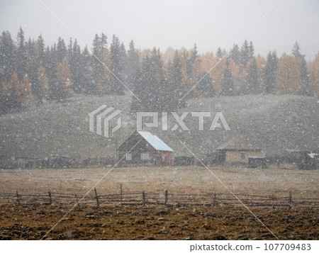 Soft focus, poor visibility. Snow during fall. Small village under the mountain. Golden autumn landscape of snowy foggy morning in the village of Belyashi, Russia, Altai Krai. Soft focus, poor visibility. Snow during fall. Small village under the mountain. Golden autumn landscape of snowy foggy morning in the village of Belyashi, Russia, Altai Krai. 107709483