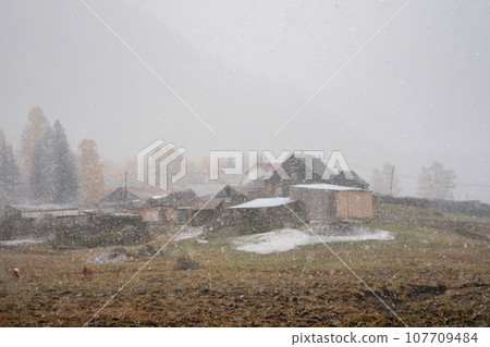 Soft focus, poor visibility. Snow during fall. Small village under the mountain. Golden autumn landscape of snowy foggy morning in the village of Belyashi, Russia, Altai Krai. Soft focus, poor visibility. Snow during fall. Small village under the mountain. Golden autumn landscape of snowy foggy morning in the village of Belyashi, Russia, Altai Krai. 107709484