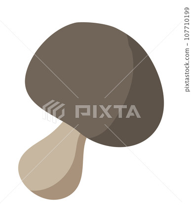 White mushroom. Flat style vector illustration. Single isolated object. Autumn theme. Finding in the forest. Hand drawn fall element for design greeting card. Thanksgiving Day White mushroom. Flat style vector illustration. Single isolated object. Autumn theme. Finding in the forest. Hand drawn fall element for design greeting card. Thanksgiving Day 107710199