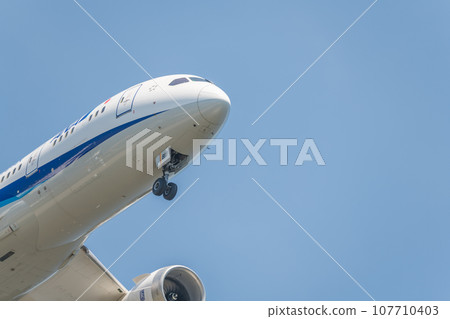 [ANA aircraft in preparation for landing from the sky above Jonanjima Seaside Park] 107710403