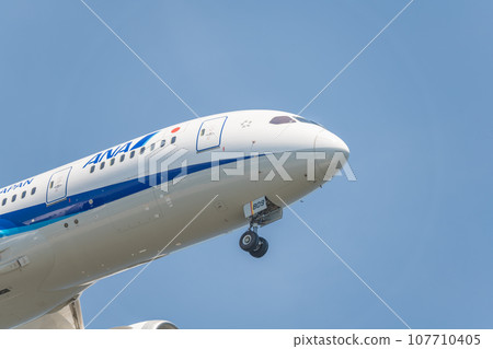 [ANA aircraft in preparation for landing from the sky above Jonanjima Seaside Park] 107710405
