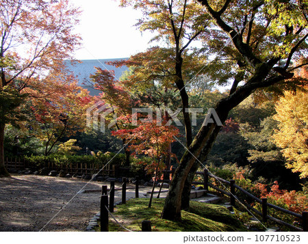 Tofukuji Tofukuji 107710523