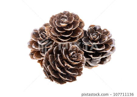 small christmas cones isolated 107711136
