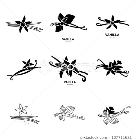 Vanilla Pod Icon, Orchid Bean Sticks, Dry Vanillin Pods, Natural Aroma Dessert Ingredient, Vanilla Planifolia Stick 107711681