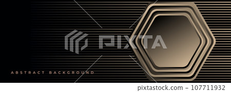 Black and gold 3D abstract geometric background with golden hexagon or honeycomb. Dark wide abstract banner with iron three-dimensional hexagonal shape. Black and gold 3D abstract geometric background with golden hexagon or honeycomb. Dark wide abstract banner with iron three-dimensional hexagonal shape. 107711932