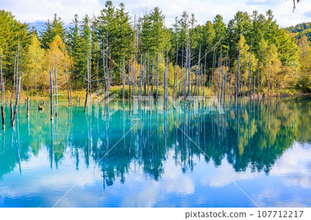 [Hokkaido] Blue pond in Biei Town 107712217