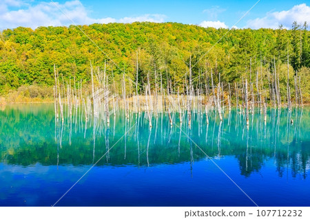 [Hokkaido] Blue pond in Biei Town 107712232