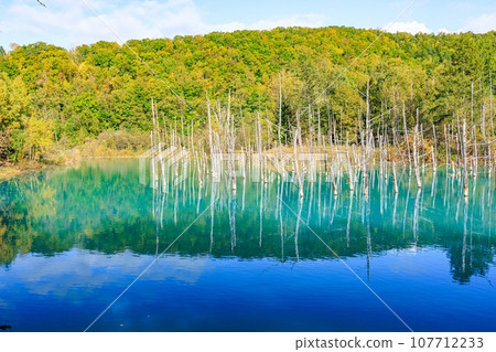 [Hokkaido] Blue pond in Biei Town 107712233