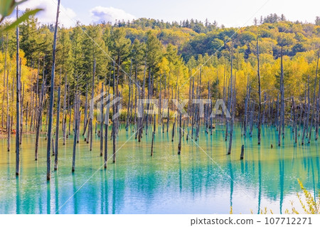 [北海道]美瑛町的藍塘 107712271