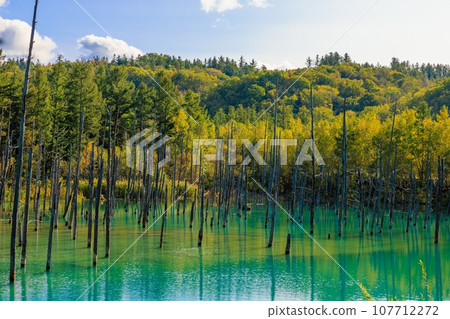 [北海道]美瑛町的藍塘 107712272