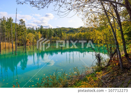 [北海道]美瑛町的藍塘 107712273