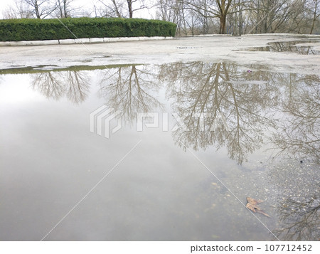 reflection of autumn trees in a puddle of water. autumn beauty in nature 107712452
