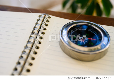 strange compass 107713342