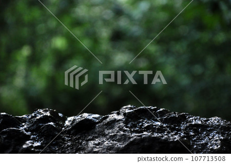 Wet limestone rock with blurry forest background in a rainy day 107713508