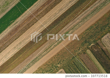 Bird's eye view of agricultural fields, agronomic industry. Aerial drone view Bird's eye view of agricultural fields, agronomic industry. Aerial drone view 107713518
