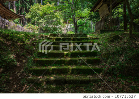 [新海三社]長滿青苔的樓梯[佐久市] 107713527