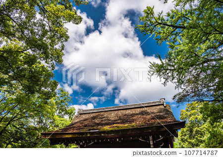下鴨神社 雪車河合神社 稻草屋頂 下鴨神社 雪車河合神社 稻草屋頂 107714787