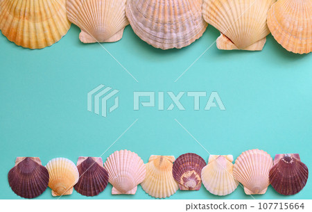 Marine frame made of Japanese sea scallop seashells on a blue background. close up 107715664