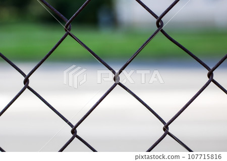 Metal mesh on the background of the road 107715816