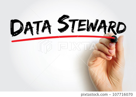 Data Steward - oversight or data governance role within an organization, text concept for presentations and reports Data Steward - oversight or data governance role within an organization, text concept for presentations and reports 107716070