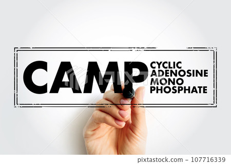 CAMP Cyclic Adenosine MonoPhosphate - second messenger important in many biological processes, stamp acronym text concept background 107716339