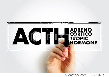 ACTH Adrenocorticotropic hormone - polypeptide tropic hormone produced by and secreted by the anterior pituitary gland, acronym text concept stamp 107716348